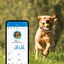 Tractive - Traceur GPS DOG 4 pour Chiens - Blanc Indicateur image numéro 9