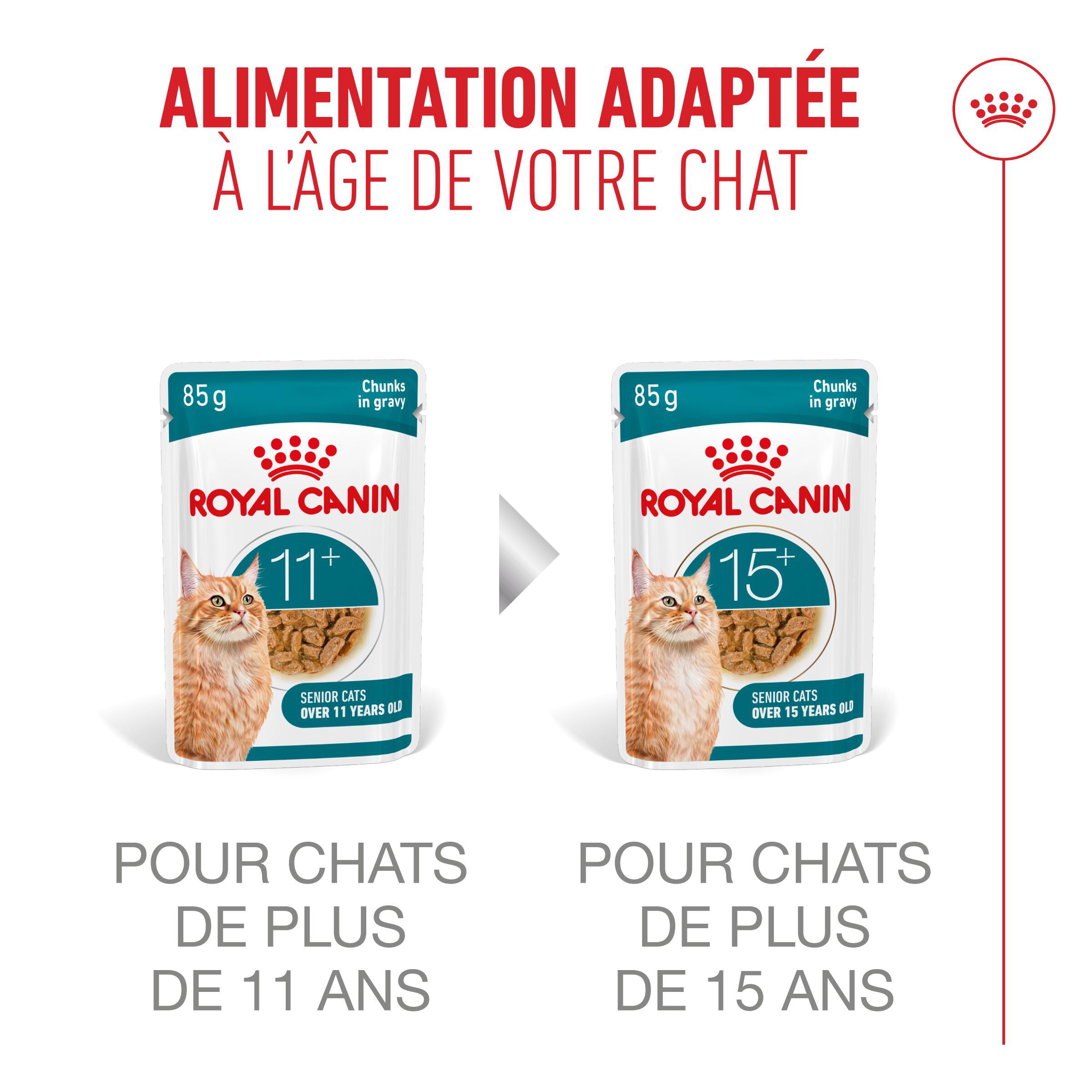 Royal Canin - P&acirc;t&eacute;e en Sauce Ageing 11+ pour Chats Senior - 12x85g Image num&eacute;ro 7