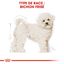 Royal Canin - Croquettes Bichon Frisé pour Chien Adulte - 1,5Kg Indicateur image numéro 3