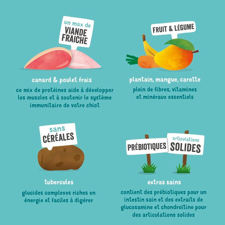 Edgard & Cooper - Croquettes Naturelles sans Céréales Canard et Poulet frais pour Chiot - 12Kg Image numéro 5 Edgard & Cooper - Croquettes Naturelles sans Céréales Canard et Poulet frais pour Chiot - 12Kg Image numéro 5