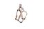 Bobby - Harnais Baudrier Geisha Taupe XS pour Chiens - XS 37cm Indicateur image numéro 1