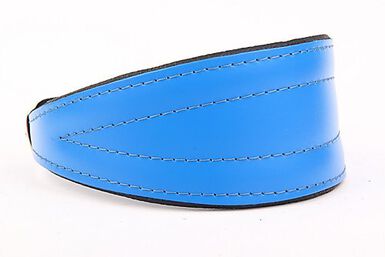 Yogipet - Collier en Cuir Lévrier pour Chien - Bleu