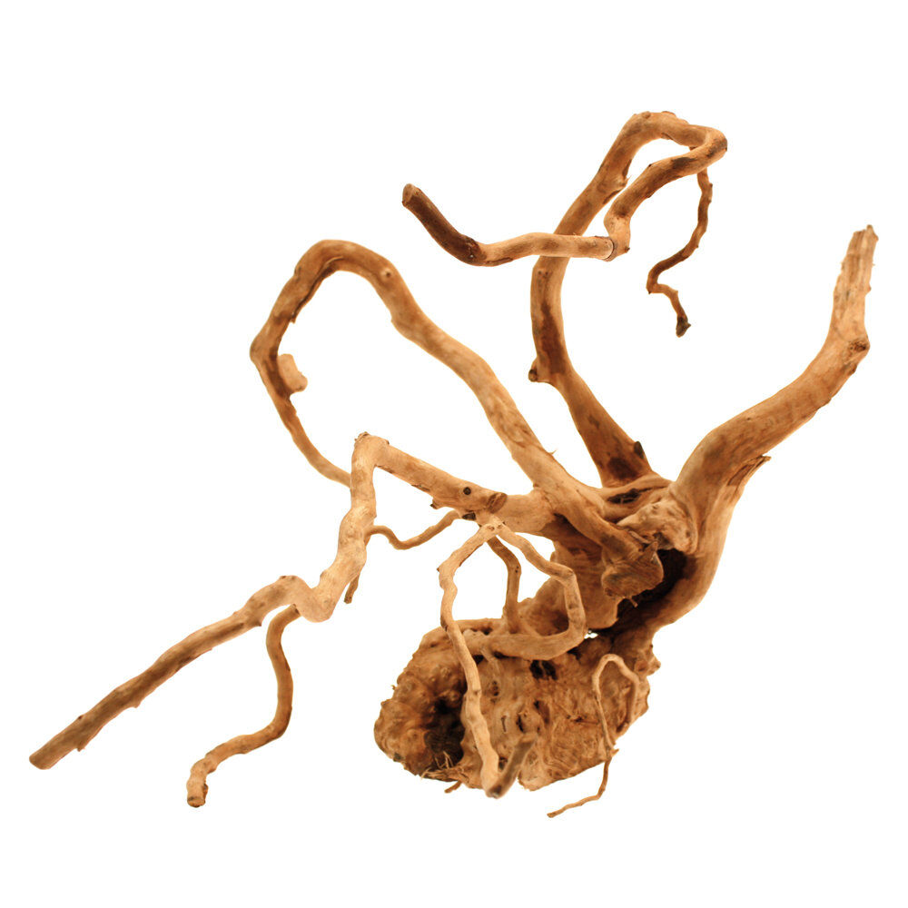 Amtra -  Racine Naturelle Red Wood - 50-70cm Image num&eacute;ro 1