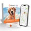 Weenect - Traceur GPS L/XL Edition 2023 pour Chiens - Blanc Indicateur image num&eacute;ro 1