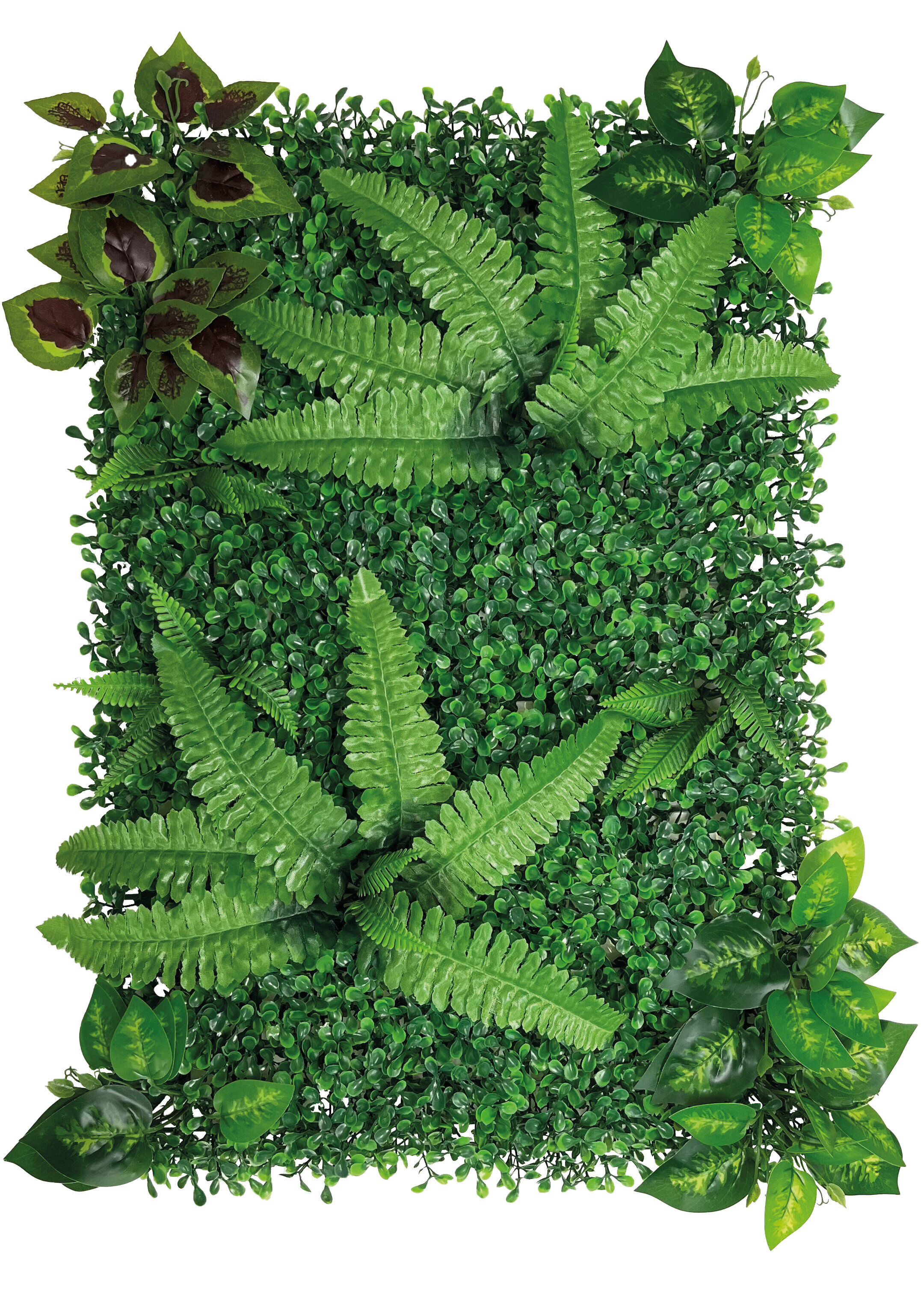 Repto - D&eacute;coration Repto Plant Back Wall Mat 40-60 Cm 1 Image num&eacute;ro 2