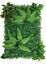 Repto - Décoration Repto Plant Back Wall Mat 40-60 Cm 1 Indicateur image numéro 2