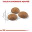 Royal Canin - Croquettes Outdoor Active Life pour Chat - 2Kg Indicateur image numéro 5