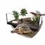 Animalis - Kit Tortue Terrestre - 60 Indicateur image numéro 2