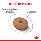 Royal Canin - Croquettes Mini Light Weight Care pour Chien - 8Kg image number null