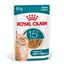 Royal Canin - Pâtée en Sauce Ageing 15+ pour Chats Senior - 12x85g Indicateur image numéro 10