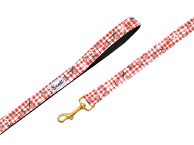 Bandit - Laisse Berrylicious pour Chiens - 120cm