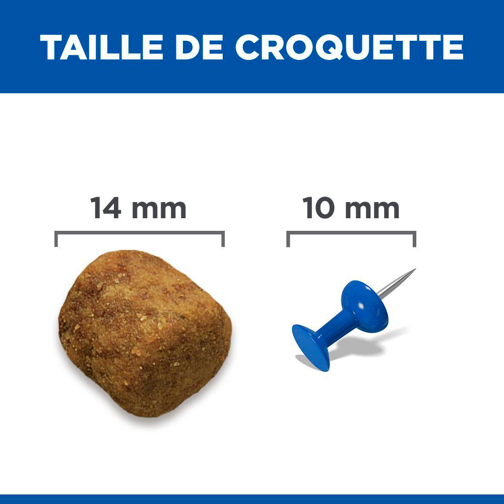 Hill's Science Plan - Adult Croquettes Pour Grand Chien A L'agneau Et Riz  - 12kg Image num&eacute;ro 11
