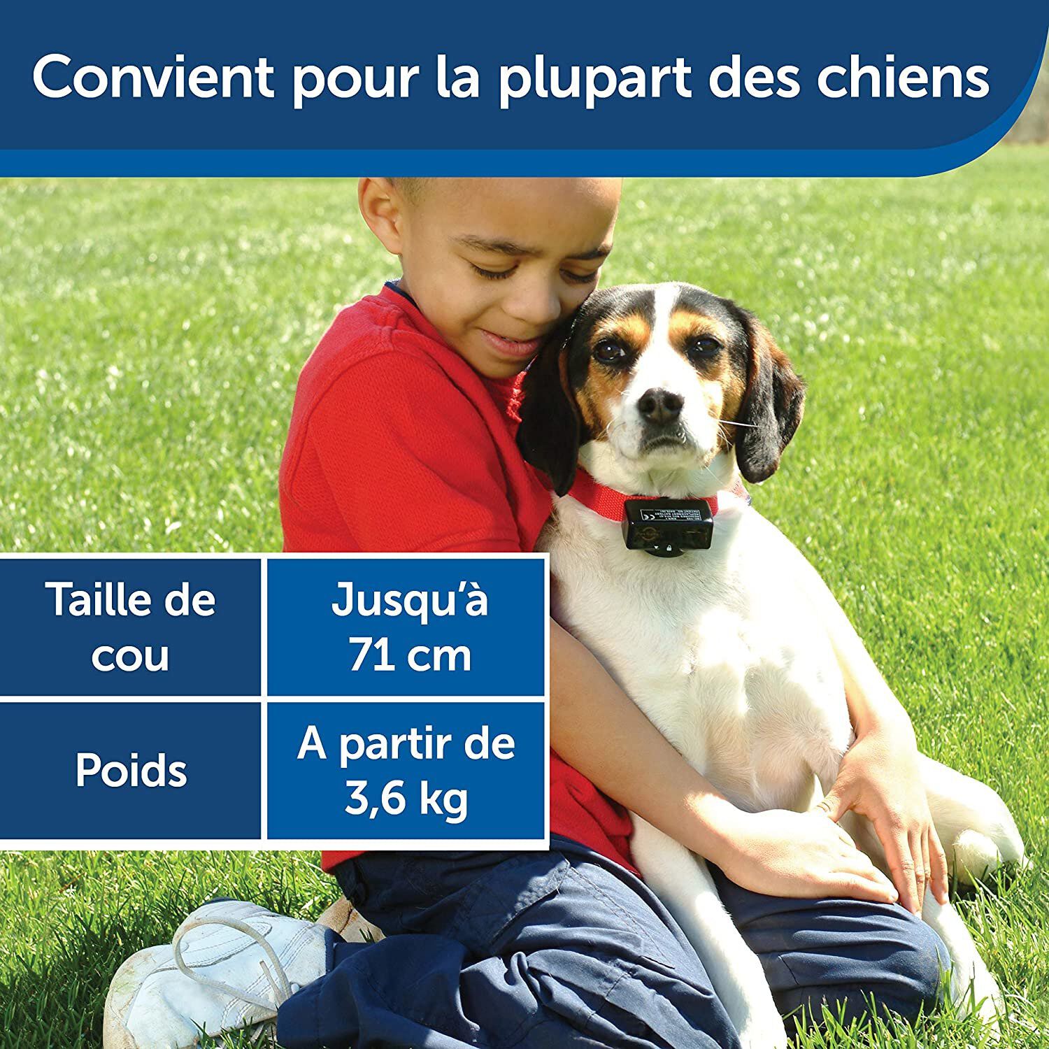 PetSafe - Collier Anti-Aboiement Moyens et Grands Chiens Image num&eacute;ro 8