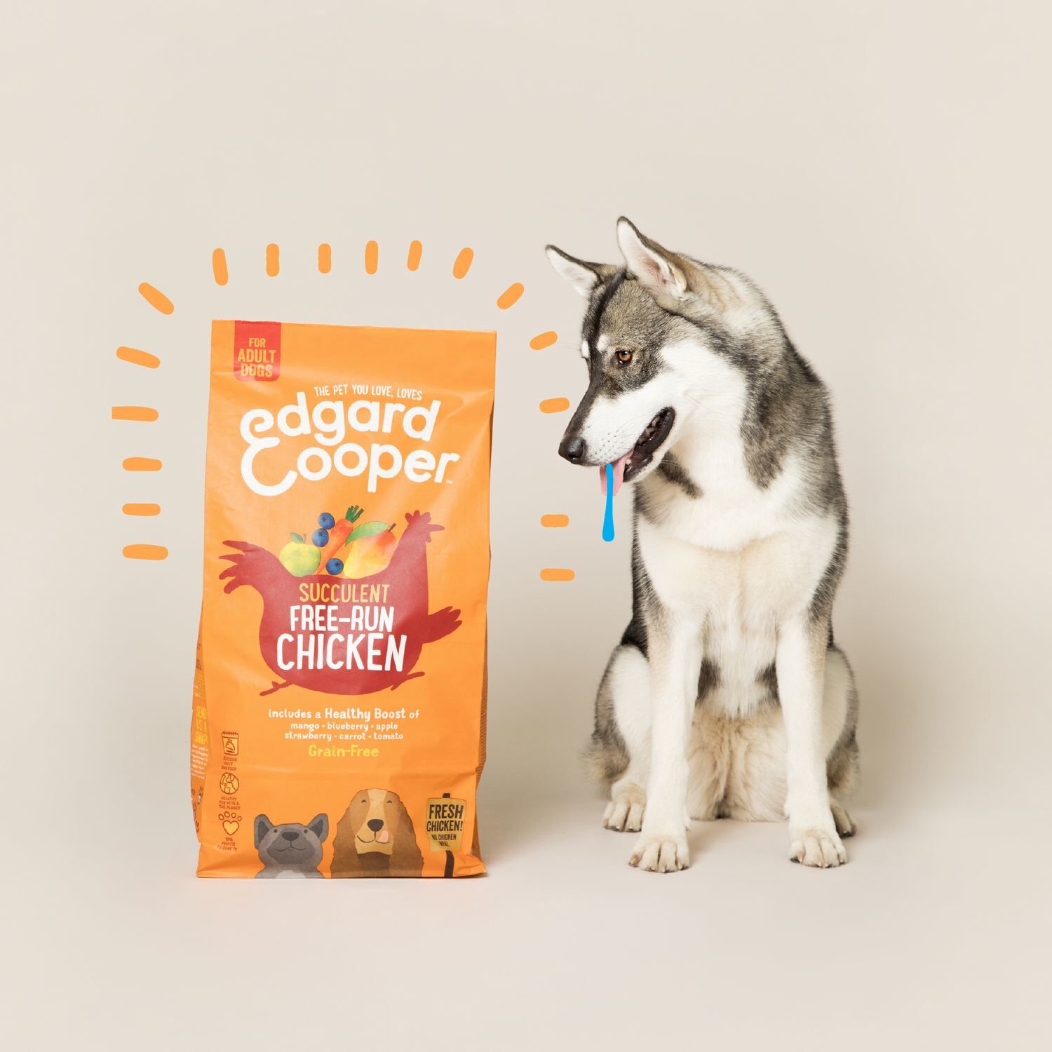 Edgard & Cooper - Croquettes au Poulet pour Chien - 2,5Kg Image num&eacute;ro 3