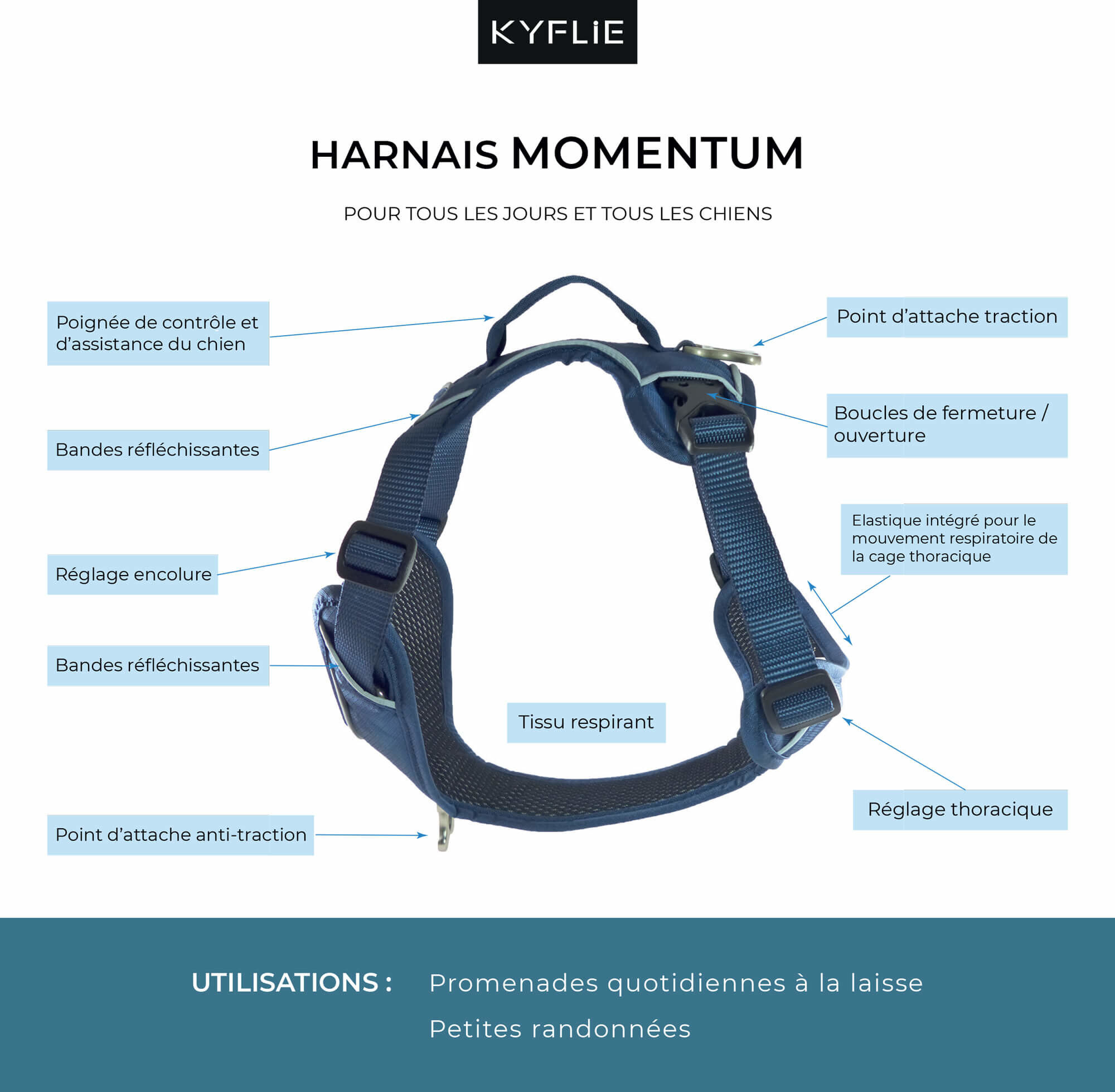 Kyflie - Harnais de promenade MOMENTUM Noir pour Chien - XS Image num&eacute;ro 2