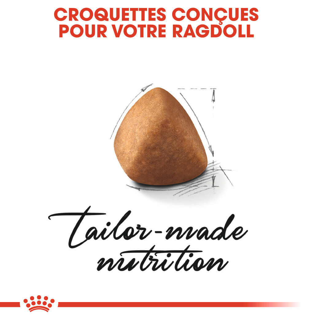 Royal Canin - Croquettes Ragdoll Adult pour Chat - 2Kg Image num&eacute;ro 3