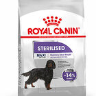 Royal Canin - Croquettes Maxi Adult Sterilised pour Chien - 12Kg image number null