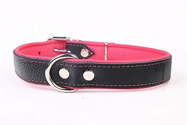 Yogipet - Collier en Cuir pour Chien - Rose
