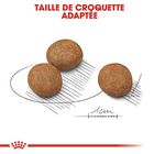 Royal Canin - Croquettes Maxi Puppy pour Chiot - 4Kg image number null