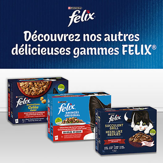 Felix - FELIX Tendres Effilés en Gelée Viandes-Poissons - 44 x 85 g -  Sachets fraîcheur pour chat adulte - Alimentation humide pour chat - Rue du  Commerce