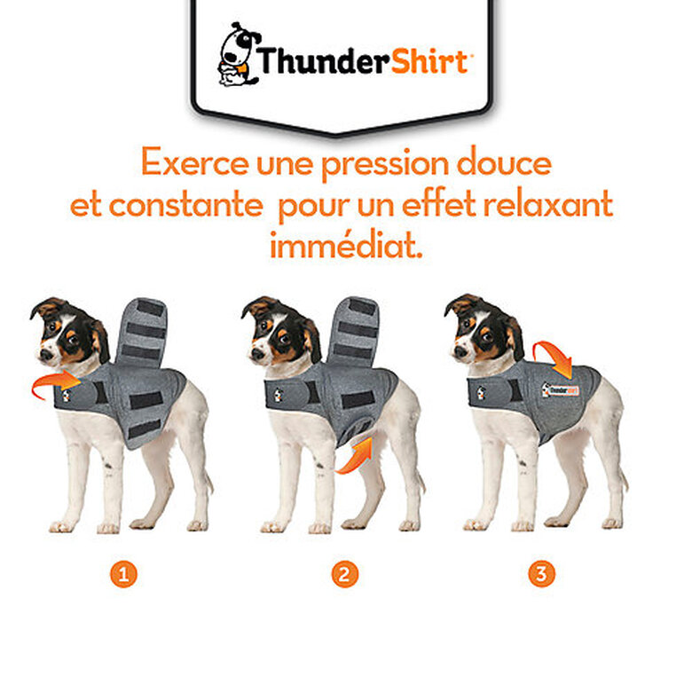 Thundershirt - Gilet Relaxant Bien Etre pour Chiens - XS image number null