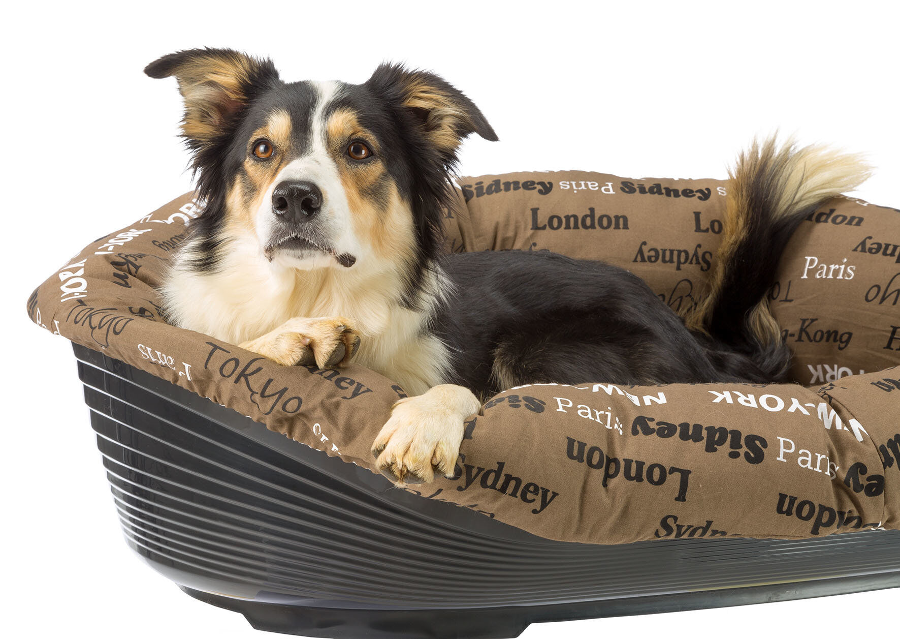 Ferplast - Sofa 10 Villes pour Chiens Image num&eacute;ro 5