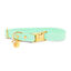 Pop Dog - Collier Swimmy Vert pour Chien - S Indicateur image numéro 1