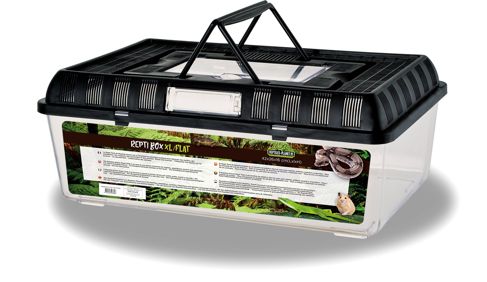 Reptiles Planet - Terrarium en Plastique Repti Box Plat - XL Image num&eacute;ro 1