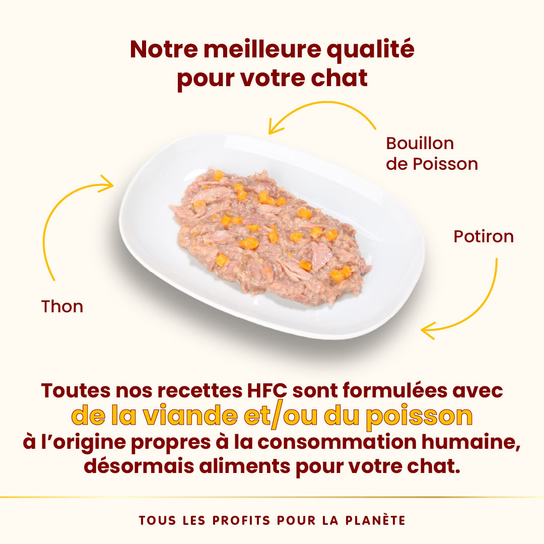 Almo Nature - P&acirc;t&eacute;e Hfc Complete Thon Et Potiron - 70g Image num&eacute;ro 4