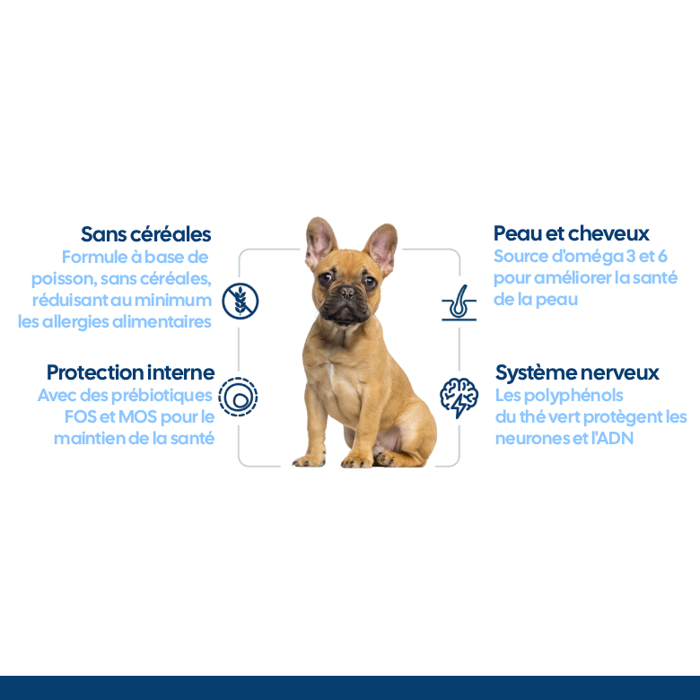 Nath - Croquettes Mini Adult Sensitive au Poisson et Saumon pour Chien - 400g Image num&eacute;ro 2