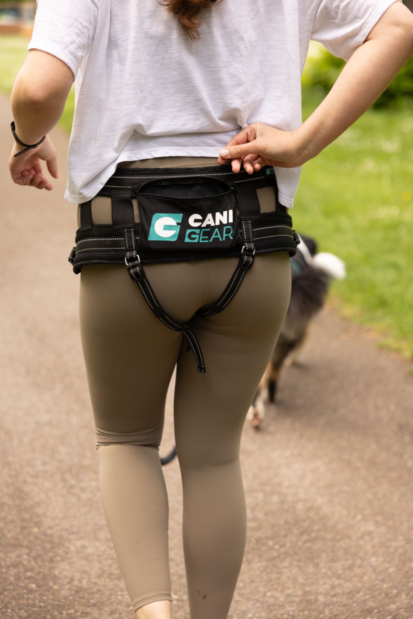 Cani Gear - Baudrier Olympia pour Chiens - 60 &agrave; 120cm Image num&eacute;ro 4