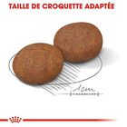 Royal Canin - Croquettes Medium Adulte 7+ pour Chien image number null