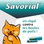 Savorial - Pâte Troubles Digestifs et Boules de Poils pour Chats - 20g Indicateur image numéro 2