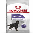 Royal Canin - Croquettes Maxi Sterilised pour Chien Adulte Stérilisé - 3Kg image number null