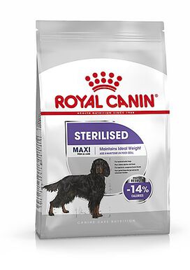 Royal Canin - Croquettes Maxi Sterilised pour Chien Adulte Stérilisé - 3Kg