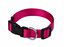 Animalis - Collier Basic Fuchsia pour Chien - 25mm et 44/65cm Indicateur image num&eacute;ro 1