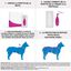 Frontline - Pipette Antiparasitaire Tri-Act pour Chien de 20 à 40Kg - 6x4ml Indicateur image numéro 4
