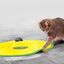 Cat's Miaou - Tapis de Jeu avec Souris pour Chat Indicateur image numéro 2