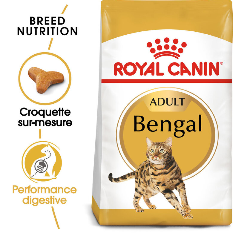 Royal Canin -  Croquettes BENGAL ADULT pour Chats - 10Kg image number null