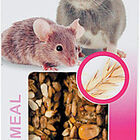 Zolux - Friandises Crunchy Stick Avoine et Œuf pour Rat et Souris - 115g image number null