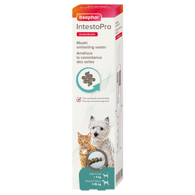 Beaphar - Pâte IntestoPro pour ChatS et PetitS Chiens (< 15 kg) - 20ml