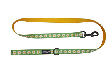 Gotoo - Laisse à Motif Oeuf Vert pour Chien - M