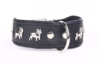 Yogipet - Collier Bouledogue Français Cuir pour Chien Noir