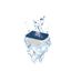 Ciano - Cartouches Water Clear & Protection - M (x1) Indicateur image numéro 2