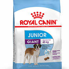 Royal Canin - Croquettes Giant Junior pour Chiot - 15Kg image number null