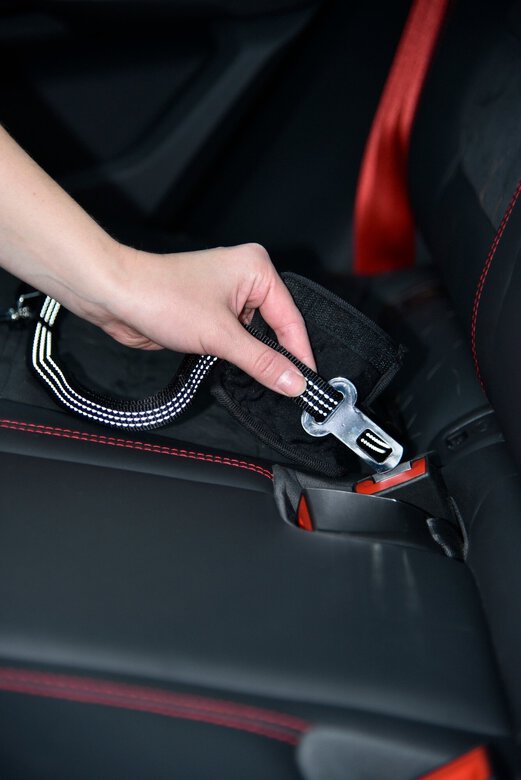 Bobby - Laisse avec Attache Sécurité Voiture Fuchsia pour Chien - M Image numéro 4 Bobby - Laisse avec Attache Sécurité Voiture Fuchsia pour Chien - M Image numéro 4