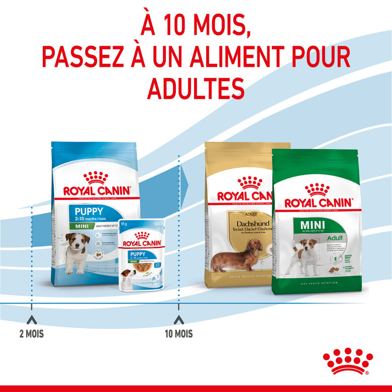 Royal Canin - Croquettes Mini Puppy pour Chiot - 2Kg Image numéro 5 Royal Canin - Croquettes Mini Puppy pour Chiot - 2Kg Image numéro 5