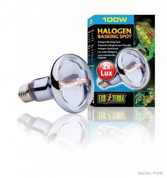 Exo Terra - Ampoule Halog&egrave;ne Basking Spot - 100W Image num&eacute;ro 1