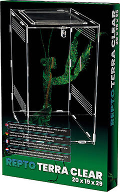 Repto - Terrarium AcryliqueTerra Clear - 19,5x18,5x29cm