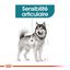 Royal Canin - Croquettes Maxi Joint Care pour Chien - 10Kg Indicateur image numéro 3